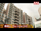 大圍《嘉御山》天際屋
