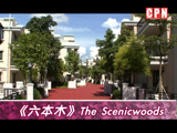 元朗《六本木》花園複式單位