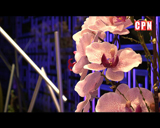 灣仔《York Place》會所