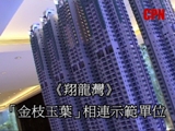 《翔龍灣》相連示範單位